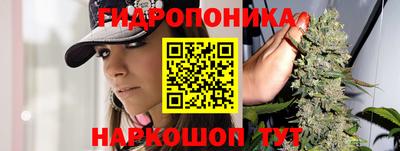 ГАЛЛЮЦИНОГЕННЫЕ ГРИБЫ Гусь-Хрустальный