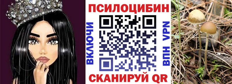Псилоцибиновые грибы Psilocybine cubensis  что такое наркотик  Ирбит 