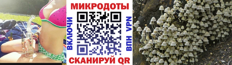Псилоцибиновые грибы прущие грибы Ирбит