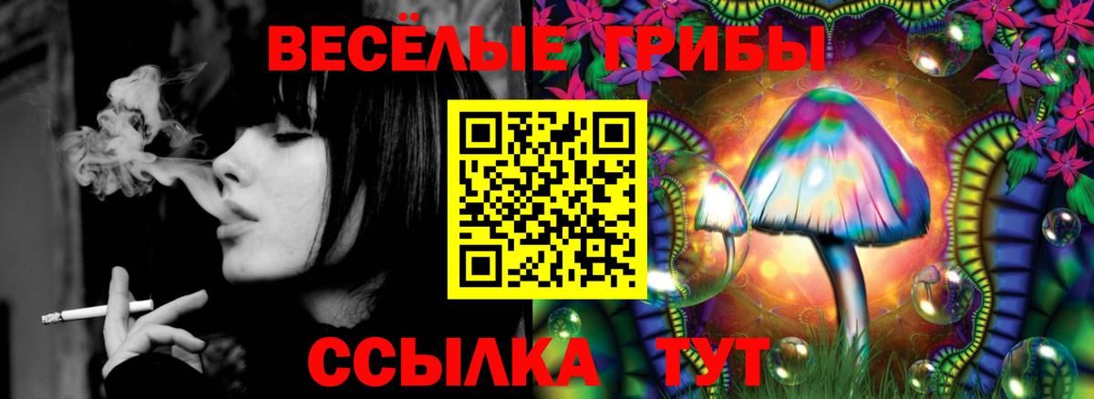 Галлюциногенные грибы MAGIC MUSHROOMS Ирбит